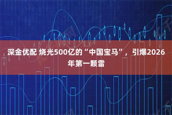 深金优配 烧光500亿的“中国宝马”，引爆2026年第一颗雷